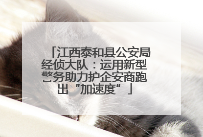 江西泰和县公安局经侦大队：运用新型警务助力护企安商跑出“加速度”