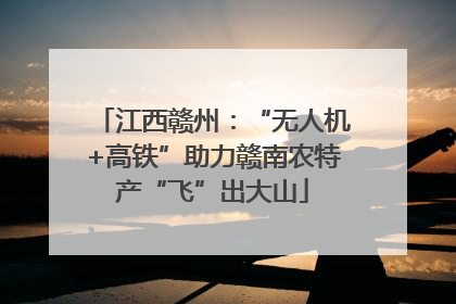 江西赣州：“无人机+高铁”助力赣南农特产“飞”出大山
