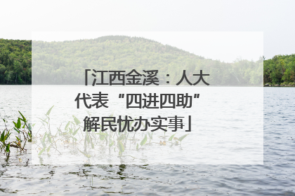 江西金溪：人大代表“四进四助”解民忧办实事