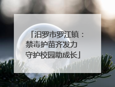 汨罗市罗江镇：禁毒护苗齐发力 守护校园助成长