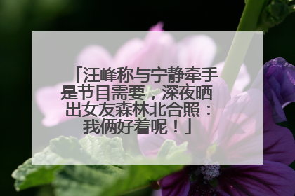汪峰称与宁静牵手是节目需要，深夜晒出女友森林北合照：我俩好着呢！