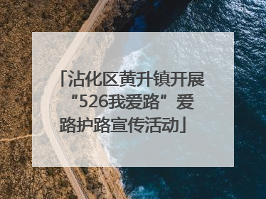 沾化区黄升镇开展“526我爱路”爱路护路宣传活动