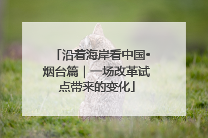 沿着海岸看中国•烟台篇｜一场改革试点带来的变化