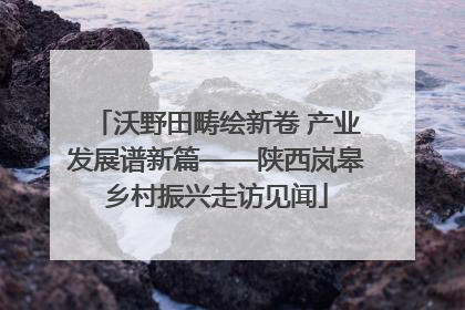 沃野田畴绘新卷 产业发展谱新篇——陕西岚皋乡村振兴走访见闻