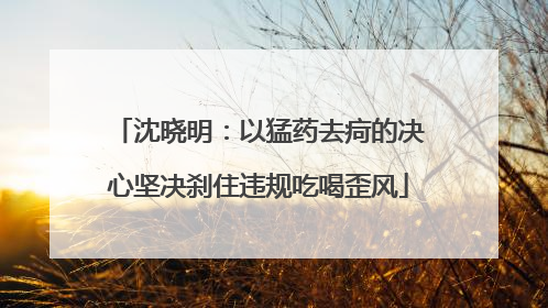 沈晓明：以猛药去疴的决心坚决刹住违规吃喝歪风
