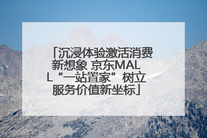 沉浸体验激活消费新想象 京东MALL“一站置家”树立服务价值新坐标