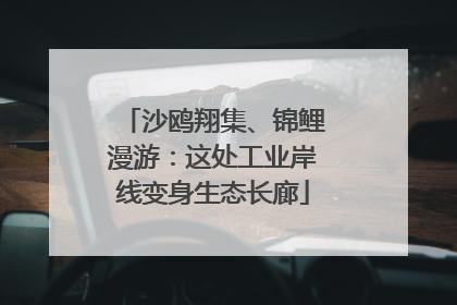沙鸥翔集、锦鲤漫游：这处工业岸线变身生态长廊