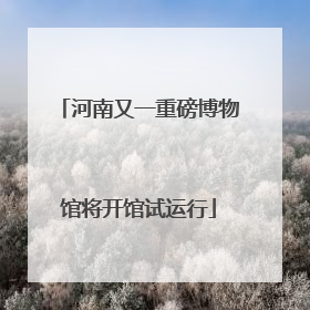 河南又一重磅博物馆将开馆试运行