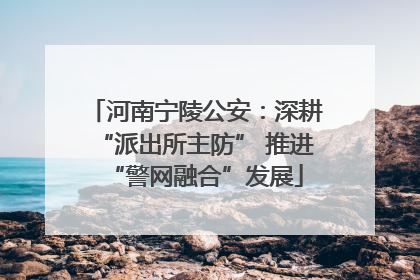 河南宁陵公安：深耕“派出所主防” 推进“警网融合”发展