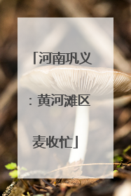 河南巩义：黄河滩区麦收忙
