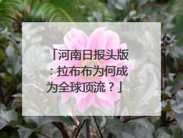 河南日报头版：拉布布为何成为全球顶流？