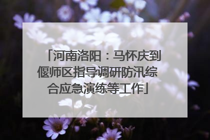 河南洛阳：马怀庆到偃师区指导调研防汛综合应急演练等工作