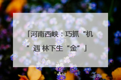 河南西峡：巧抓“机”遇 林下生“金”