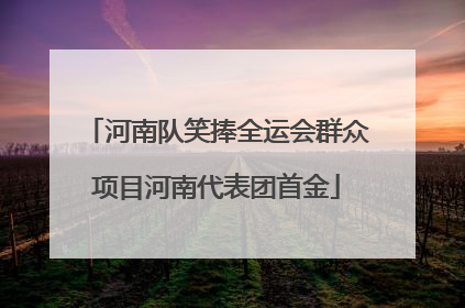 河南队笑捧全运会群众项目河南代表团首金