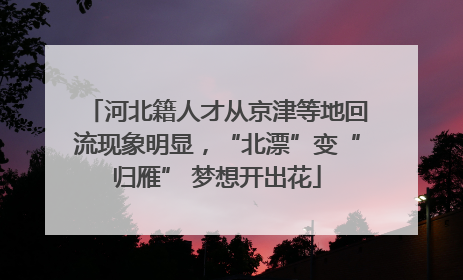 河北籍人才从京津等地回流现象明显，“北漂”变“归雁” 梦想开出花