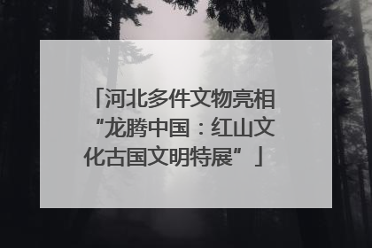 河北多件文物亮相“龙腾中国：红山文化古国文明特展”