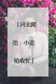 河北隆尧：小麦抢收忙