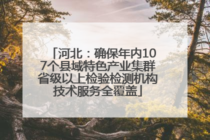 河北：确保年内107个县域特色产业集群省级以上检验检测机构技术服务全覆盖