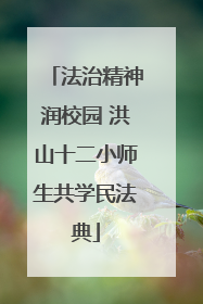 法治精神润校园 洪山十二小师生共学民法典