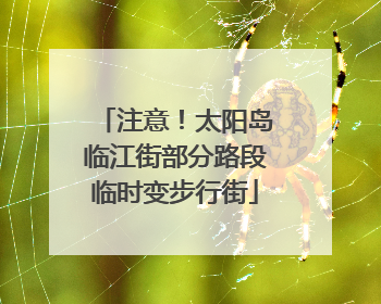 注意！太阳岛临江街部分路段临时变步行街