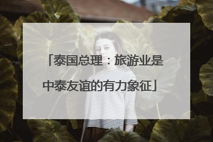 泰国总理：旅游业是中泰友谊的有力象征