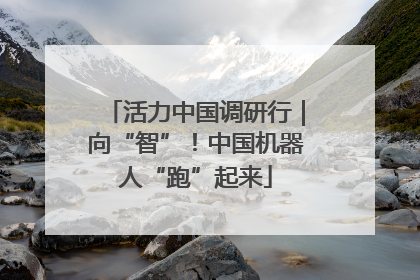 活力中国调研行｜向“智”！中国机器人“跑”起来