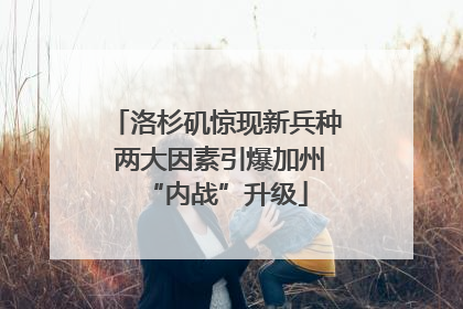 洛杉矶惊现新兵种 两大因素引爆加州“内战”升级