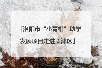 洛阳市“小青柑”助学发展项目走进孟津区