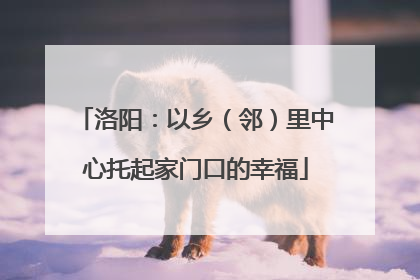 洛阳：以乡（邻）里中心托起家门口的幸福