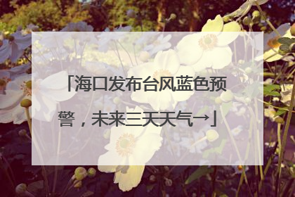 海口发布台风蓝色预警，未来三天天气→