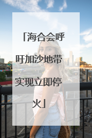 海合会呼吁加沙地带实现立即停火