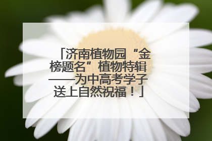 济南植物园“金榜题名”植物特辑——为中高考学子送上自然祝福！