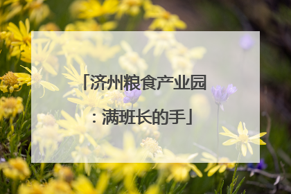 济州粮食产业园：满班长的手