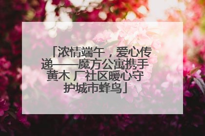 浓情端午，爱心传递——魔方公寓携手黄木 厂社区暖心守护城市蜂鸟