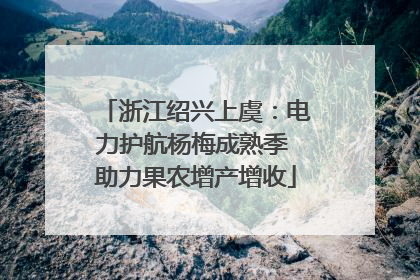 浙江绍兴上虞：电力护航杨梅成熟季 助力果农增产增收