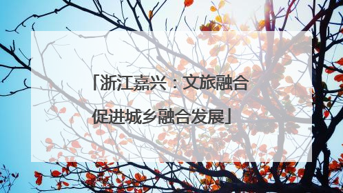 浙江嘉兴：文旅融合促进城乡融合发展
