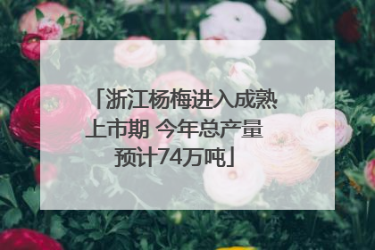 浙江杨梅进入成熟上市期 今年总产量预计74万吨