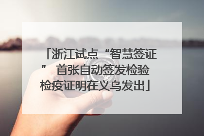 浙江试点“智慧签证” 首张自动签发检验检疫证明在义乌发出