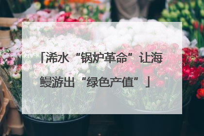 浠水“锅炉革命”让海鳗游出“绿色产值”