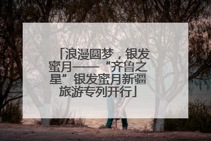 浪漫圆梦，银发蜜月——“齐鲁之星”银发蜜月新疆旅游专列开行