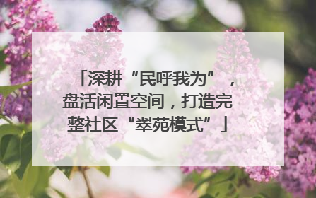 深耕“民呼我为”，盘活闲置空间，打造完整社区“翠苑模式”