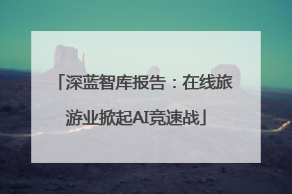深蓝智库报告：在线旅游业掀起AI竞速战