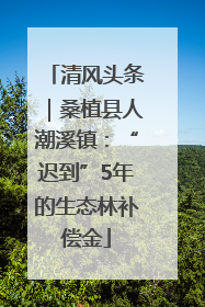 清风头条｜桑植县人潮溪镇：“迟到”5年的生态林补偿金