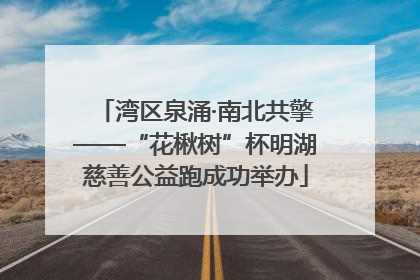 湾区泉涌·南北共擎——“花楸树”杯明湖慈善公益跑成功举办