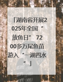 湖南省开展2025年全国“放鱼日” 7200多万尾鱼苗游入“一湖四水”