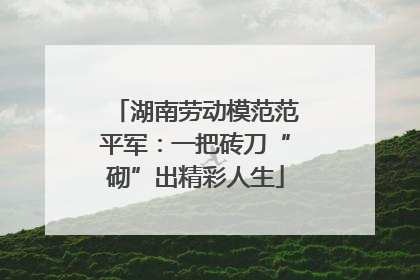 湖南劳动模范范平军：一把砖刀“砌”出精彩人生