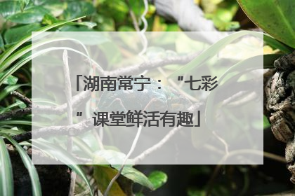 湖南常宁：“七彩”课堂鲜活有趣