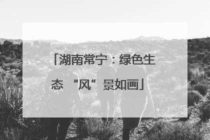 湖南常宁：绿色生态 “风”景如画