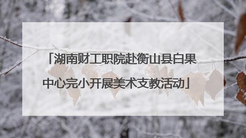 湖南财工职院赴衡山县白果中心完小开展美术支教活动