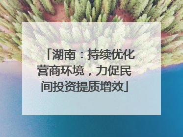湖南：持续优化营商环境，力促民间投资提质增效